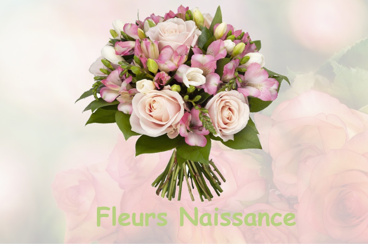 fleurs naissance RIGNY-LA-SALLE