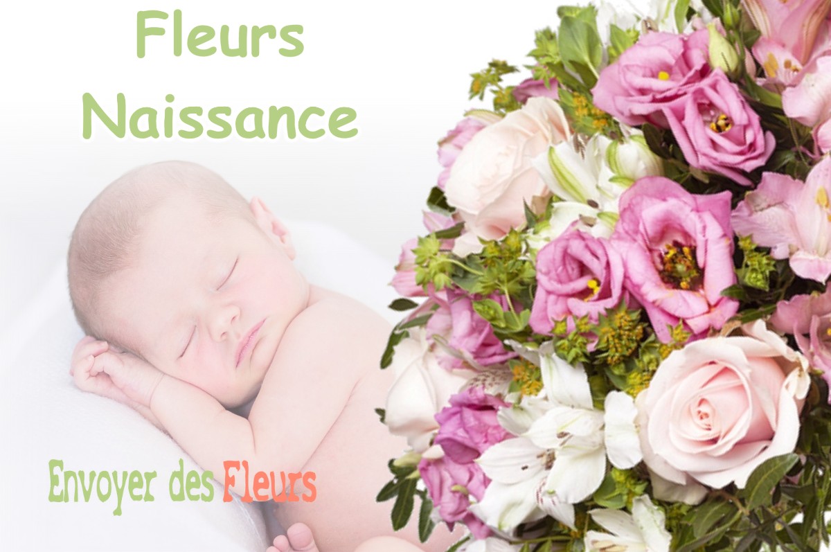 lIVRAISON FLEURS NAISSANCE à RIGNY-LA-SALLE